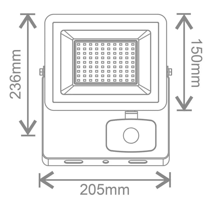 50W Rhine Floodlight with PIR (6500K)